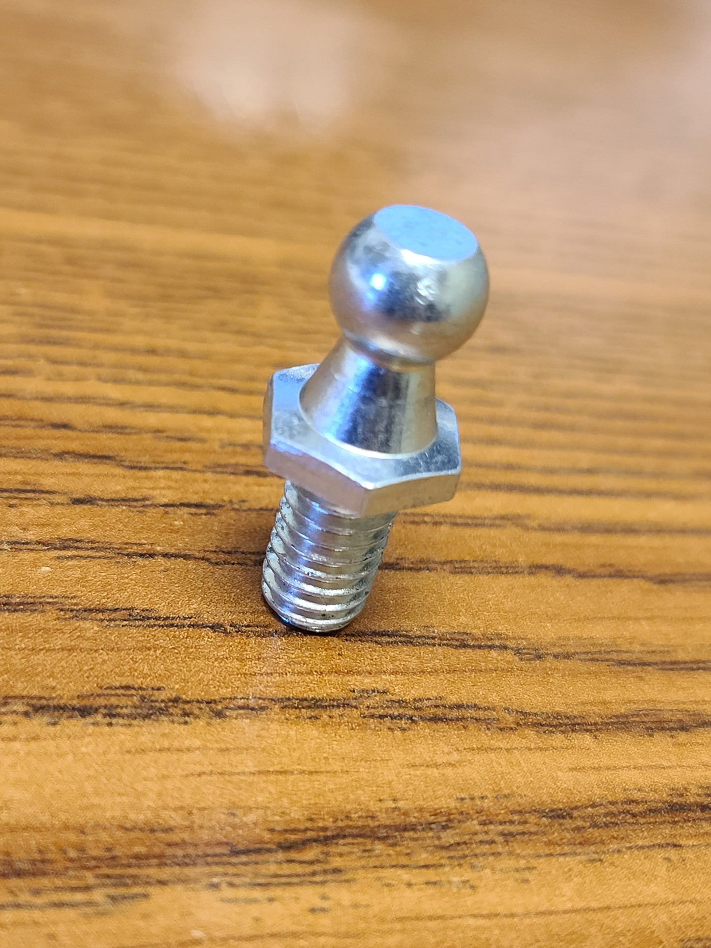 Gas Spring /w Hardware 20lb